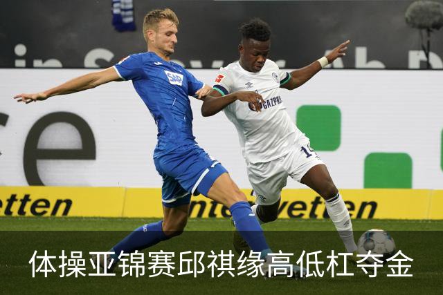 体操亚锦赛邱祺缘高低杠夺金